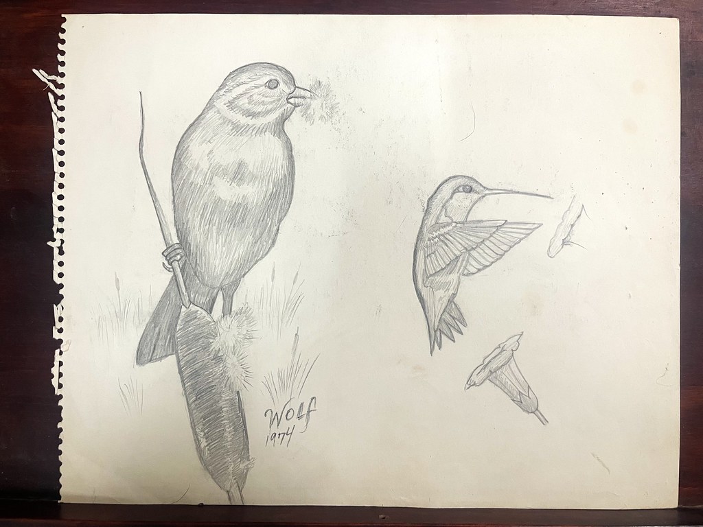 AI로 손그림·낙서를 일러스트로 바꾸는 법 2026 — 무료 도구 4곳 비교